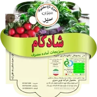 سبزی تازه سیر