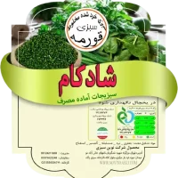 سبزی قورمه